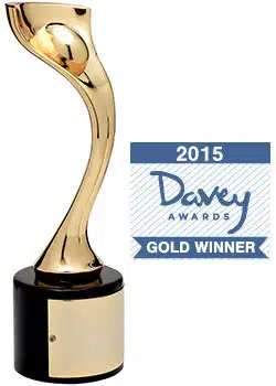 Award Winning Agency In Chicago